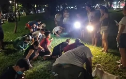 Trắng đêm lục khắp bãi cỏ công viên tìm chiếc nhẫn 'kỷ vật' cho nữ du khách nước ngoài