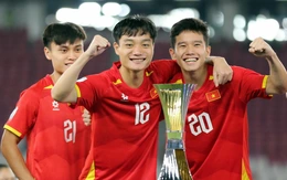 Giải U23 Đông Nam Á 2025