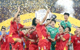 Giải U23 Đông Nam Á 2025