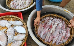 Thị trường Thái Lan 'ghiền' mực, bạch tuộc của Việt Nam, sản phẩm nào 'nóng' nhất?