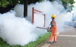 Trung Quốc, Singapore gia tăng ca bệnh Chikungunya, Việt Nam có đáng lo?