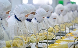 Xuất khẩu nông, thủy sản thắng lớn