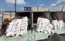 Philippines tạm ngưng nhập khẩu gạo: Doanh nghiệp cần lưu ý gì?