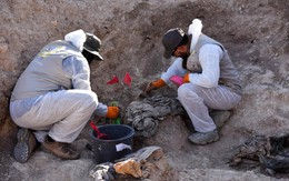 Iraq khai quật mộ chôn tập thể nghi có hơn 4.000 thi thể do IS sát hại