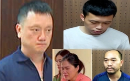 Khởi tố Vi ‘ngộ’ thêm tội vi phạm quy định về kế toán gây hậu quả nghiêm trọng