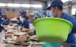 Thực hư video quay cảnh sản xuất thức ăn cho chó từ bìa carton?