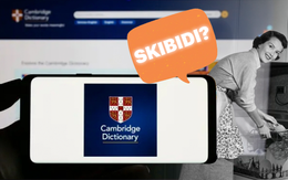 Giải nghĩa 'skibidi', 'delulu', 'tradwife' và loạt từ 'lạ' vừa được đưa vào từ điển Cambridge