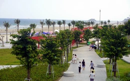 'Nàng tiên' Bãi Sau thức giấc