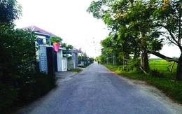 Các khoản thu từ đất: trồng khoai để ăn củ hay ăn lá