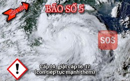 Bão số 5 mạnh cấp 14, giật cấp 17 cách Hà Tĩnh 390km, có thể mạnh thêm
