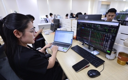 Lộ diện những nhà đầu tư 'miệt mài' gom cổ phiếu phiên VN-Index tăng 53 điểm