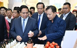 Nhà ở xã hội
