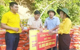 Nghệ An chi 317 tỉ đồng cho 35 xã khắc phục hậu quả mưa lũ