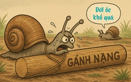 Thành ngữ 'khó nhằn' này là gì? (P6)