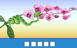 Thử tài nhanh trí với đuổi hình bắt chữ (P259)