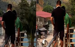Bị ong bao vây, hai thanh niên hóa đá không lời thoại