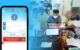 Tra cứu mã số Bảo hiểm xã hội online