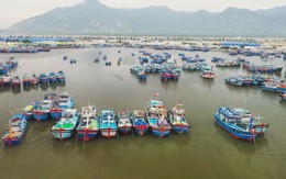 Cà Ná hướng đến tương lai đầy kỳ vọng
