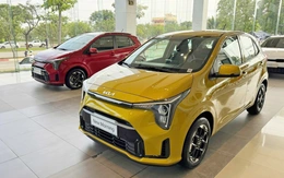 Kia Morning 2025 có mặt ở đại lý: Giá từ 439 triệu, như 'tiểu Carnival'