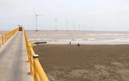 Năng lượng tái tạo, trụ cột lớn giúp Vĩnh Long phát triển mạnh