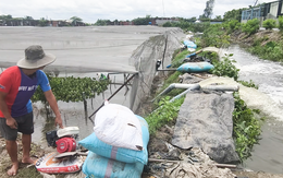 Nông dân Vĩnh Lộc huy động 5 máy bơm cứu vườn rau ngập nặng sau mưa