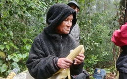 Tìm thấy cụ ông 78 tuổi lạc 7 ngày trong rừng sâu ở Đà Lạt
