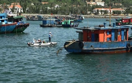 Hải Phòng cấm biển từ 14h ngày 24-9 để phòng chống bão Ragasa