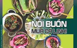 Tuổi Trẻ Cuối Tuần số 37-2025: Nỗi buồn mùa cá linh