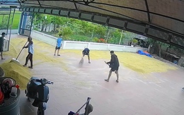 'Đội quân nhí' được đãi kem khi cào lúa chạy mưa giúp cụ bà