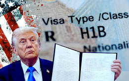 Nguy cơ chính sách visa H-1B mới của ông Trump phản tác dụng