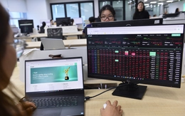VN-Index giảm điểm, tài sản vợ chồng tỉ phú giàu nhất Việt Nam vẫn không ngừng tăng