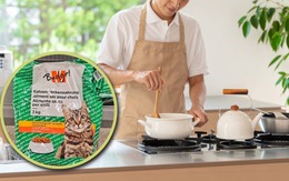 Chàng trai ăn thức ăn cho mèo để có tiền học tiến sĩ