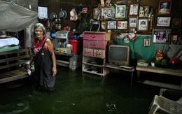 Miền Trung Philippines oằn mình dưới bão Bualoi, miền Bắc vẫn rã rời vì bão Ragasa
