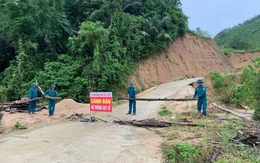 Chống bão Bualoi: Hà Tĩnh cấm biển, bắt đầu sơ tán dân; Bộ đội Quảng Trị ra đồng gặt lúa giúp dân