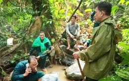 Không có phép màu nào cho người mất tích khi vào rừng tìm tổ ong