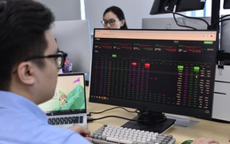 Cổ phiếu Vingroup lại 'gồng' điểm số, VN-Index tăng nhưng nhiều nhà đầu tư buồn