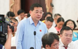 TP.HCM lý giải việc xin chuyển 0,2ha rừng phòng hộ Côn Đảo để xây đường khu trung tâm
