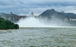 Bão số 10 (Bualoi)