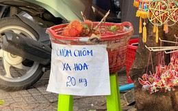 Ảnh vui 5-9: 'Chôm chôm xa hoa' dành cho người giàu?