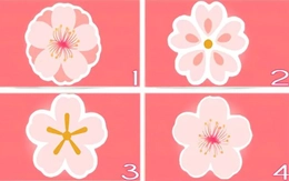 Quiz: Phẩm chất khiến bạn đặc biệt thu hút người khác là gì?