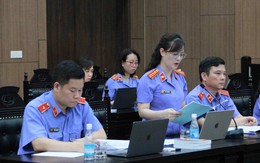 Viện kiểm sát nói chủ tịch Tập đoàn Thuận An đã 'giẫm đạp lên các quy định pháp luật'