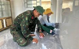 Chiến dịch Quang Trung