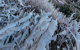 Băng giá phủ trắng đỉnh Fansipan