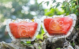 Độc đáo giống bưởi đỏ 'tiến vua' được tạo hình thỏi vàng phục vụ Tết 2026