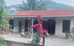 Mái ấm ngày xuân