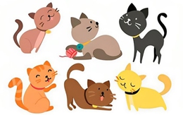 Quiz: Cuộc sống mà bạn mơ ước như thế nào?