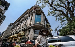 Doanh nghiệp liên quan Tân Hoàng Minh bị hủy tư cách công ty đại chúng