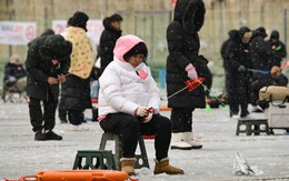 Xem cả ngàn người câu cá hồi trên băng, tay không bắt cá