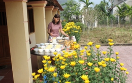 Mái ấm ngày xuân