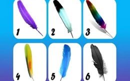 Quiz: Bạn thông minh, ham học hỏi hay là người giàu lòng trắc ẩn